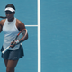 Illustration for article titled Whats Up With Sloane Stephens?